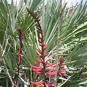 Picture 040